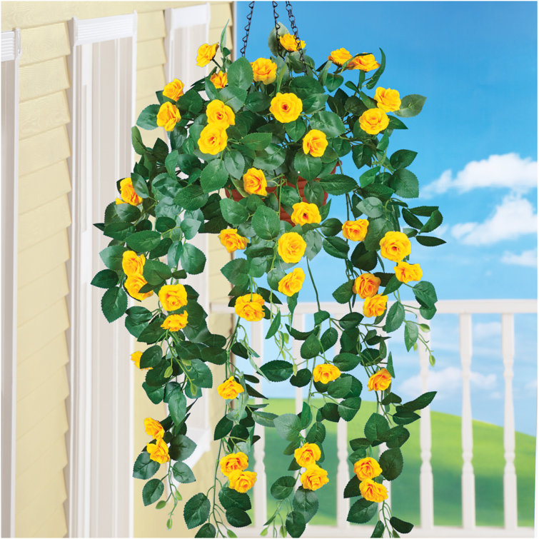 Primrue Roses Hanging Basket Arrangement & Reviews Wayfair